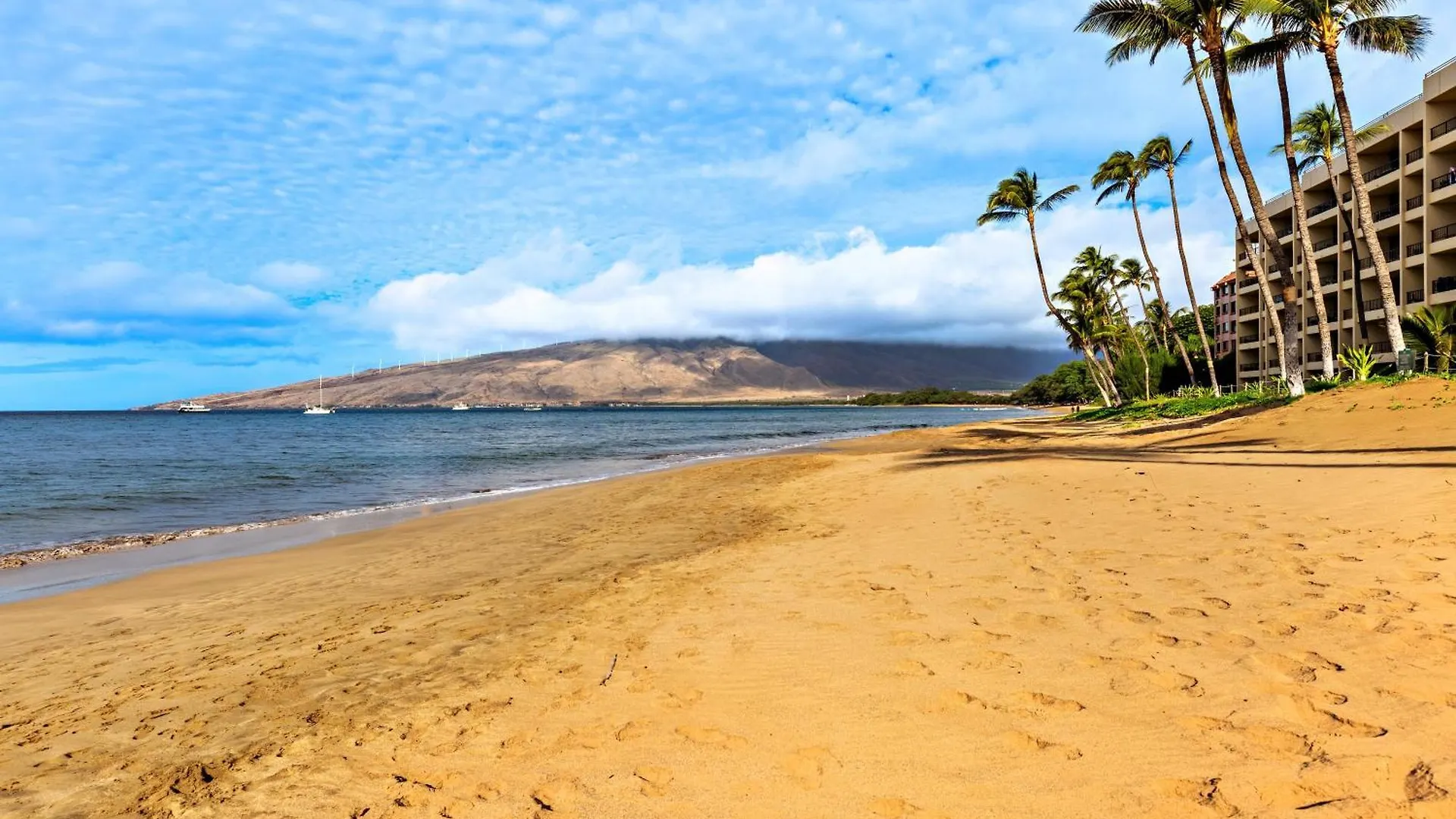 Sugar Beach 233 Kihei United States